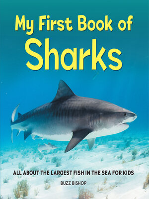 cover image of My First Book of Sharks